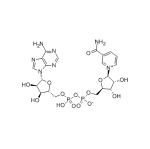 Manufacturer Supply 99% Anti-Aging Material Peptides Nicotinamide Adenine Dinucleotide Nad Supplement Nad+ CAS 53-84-9
