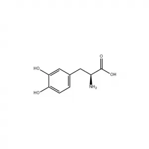 Pure Natural Raw Materials Mucuna Pruriens Extract 59-92-7 Antiepileptic 99% Levodopa L-Dopa Powder