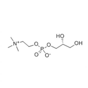 High Quality Nootropic CAS 28319-77-9 Alfoscerate Alpha-GPC Powder Alpha GPC