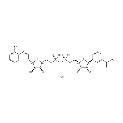 CAS 606-68-8 Purity 98% Beta-Nicotinamide Adenine Dinucleotide Disodium Salt, Reduced Form Nadh Featured Image
