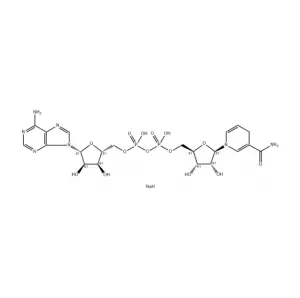 CAS 606-68-8 Purity 98% Beta-Nicotinamide Adenine Dinucleotide Disodium Salt, Reduced Form Nadh