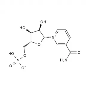 High Purity CAS 1094-61-7 Nmn Beta -Nicotinamide Mononucleotide Purity 99.9% Nmn Supplements Powder Anti-Aging