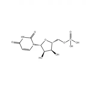 Food Additive Pharmaceutical Intermediate Ump Uridine 5′-Monophosphate CAS 58-97-9 99% Raw Powder Uridine 5′-Monophosphate