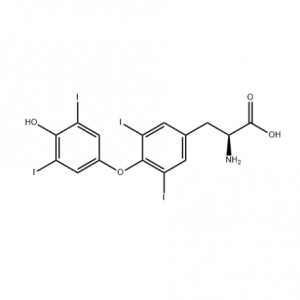 Factory Supply High Quality Weight Loss T4 API Raw Powder CAS 51-48-9 L-Thyroxine 99% Purity Levothyroxine Powder